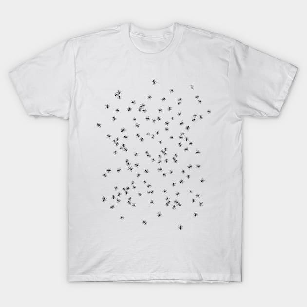 Ants T-Shirt by martinascott